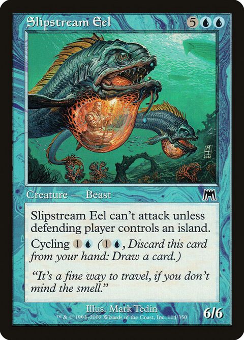114-slipstreameel.jpg