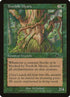 114-treefolkmystic.jpg