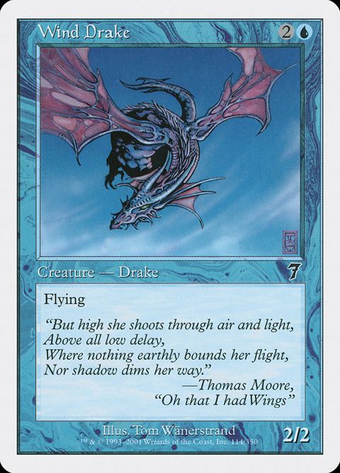 114-winddrake.jpg