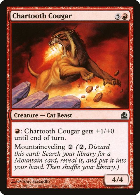 115-chartoothcougar.jpg