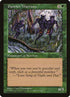 115-pantherwarriors.jpg