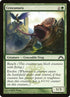 116-crocanura.jpg