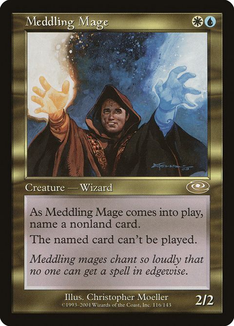 116-meddlingmage.jpg