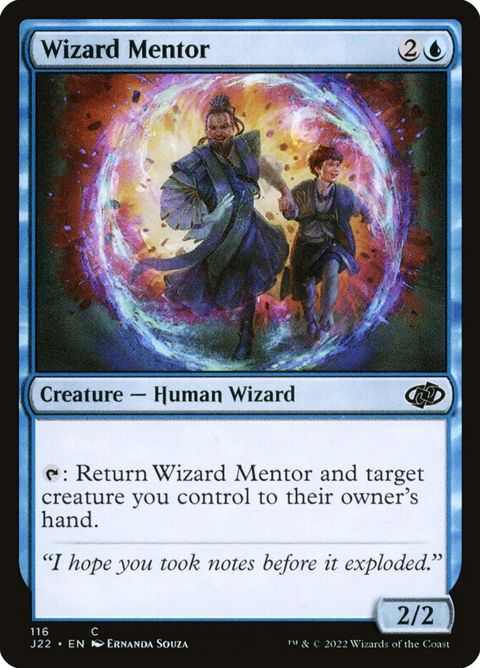 116-wizardmentor.jpg