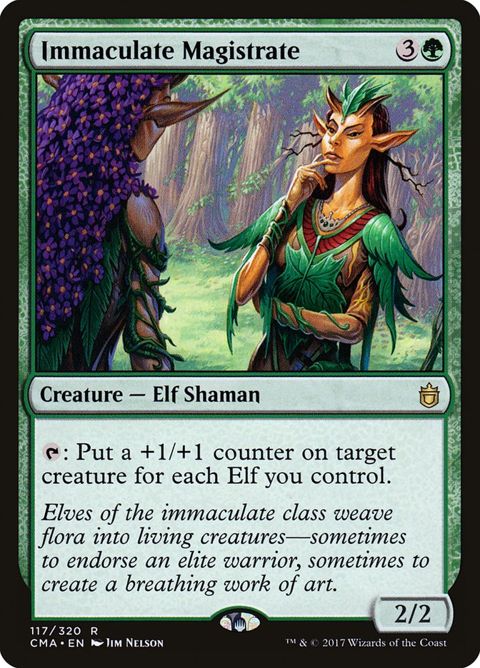 117-immaculatemagistrate.jpg