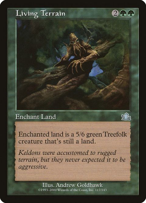 117-livingterrain.jpg