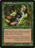 117-quirionranger.jpg
