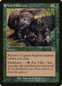 118-acornharvest.jpg