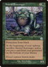 119-anuridscavenger.jpg