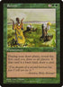 119-rowen.jpg