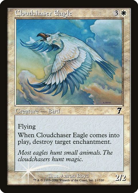 11★-cloudchasereagle.jpg