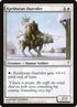 12-kjeldoranoutrider.jpg