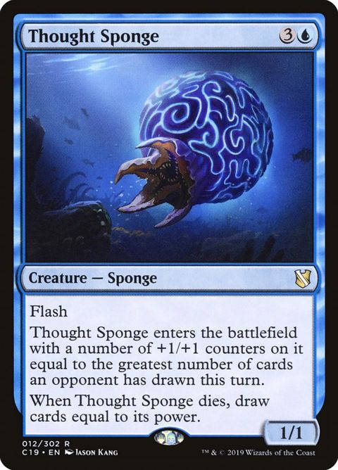 12-thoughtsponge.jpg
