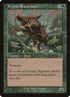 120-pygmyrazorback.jpg
