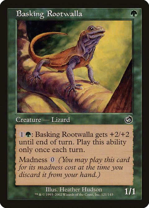 121-baskingrootwalla.jpg