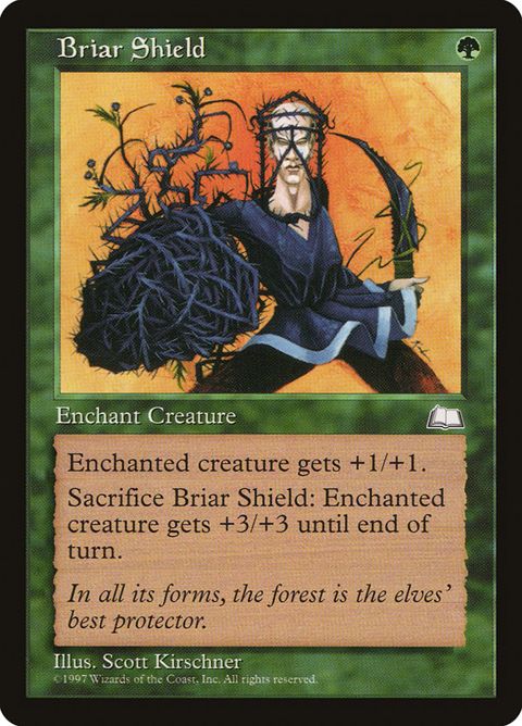 121-briarshield.jpg