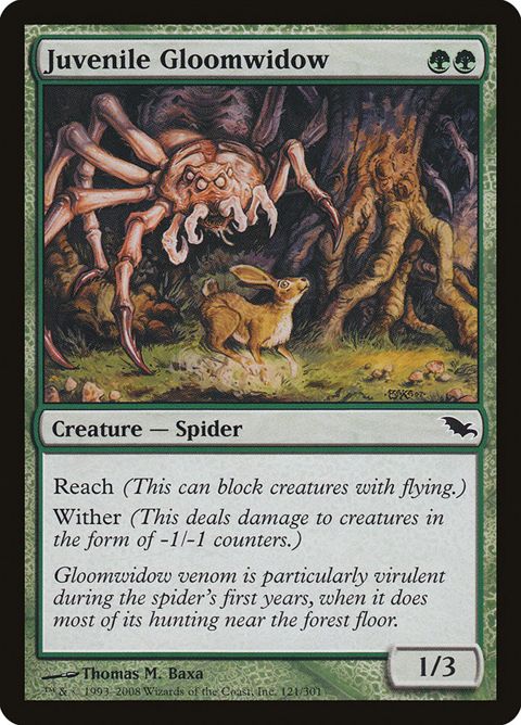 121-juvenilegloomwidow.jpg