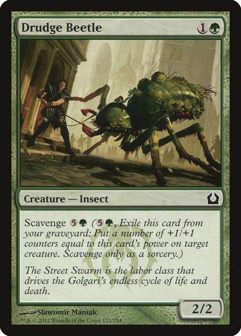 122-drudgebeetle.jpg