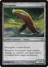 122-ferropede.jpg