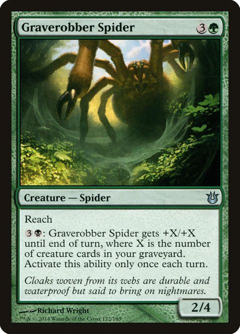 122-graverobberspider.jpg
