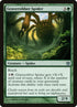 122-graverobberspider.jpg