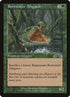 122-rootwateralligator.jpg