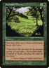 122-summerbloom.jpg