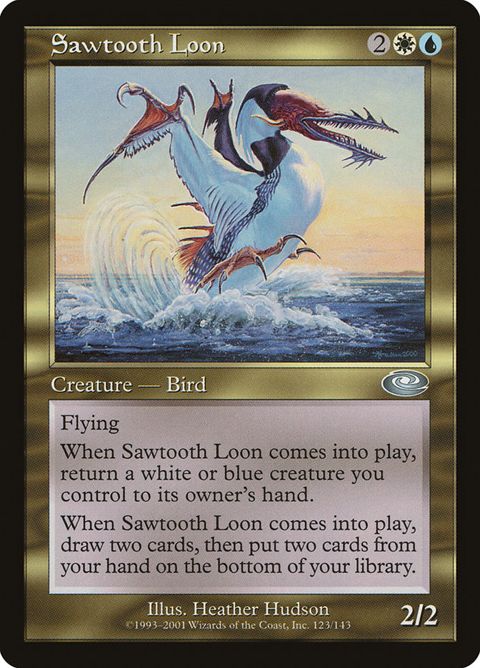 123-sawtoothloon.jpg