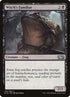 123-witchsfamiliar.jpg