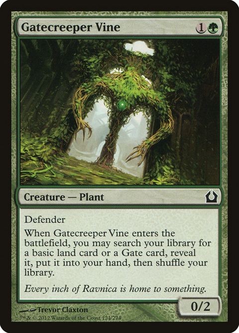124-gatecreepervine.jpg