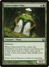 124-gatecreepervine.jpg