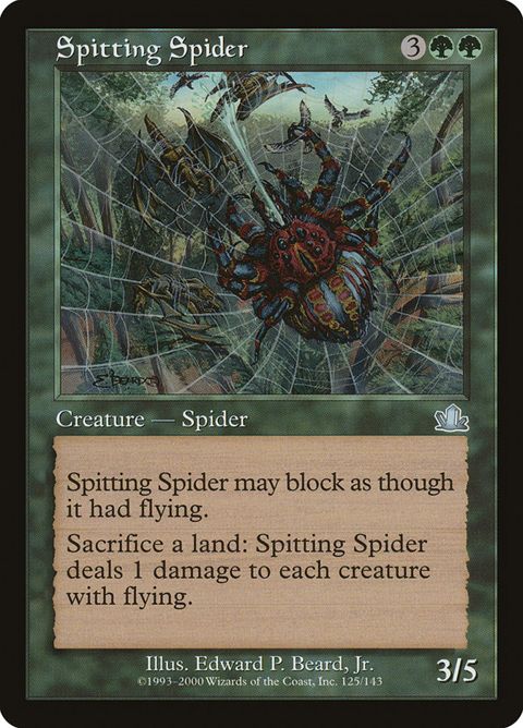 125-spittingspider.jpg