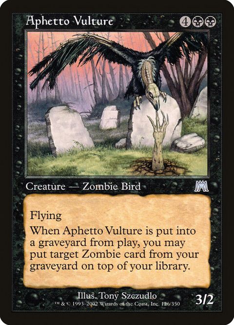 126-aphettovulture.jpg