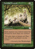 127-familiarground.jpg
