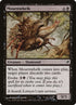 127-mournwhelk.jpg