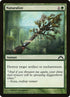 127-naturalize.jpg