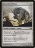 127-razorfieldrhino.jpg