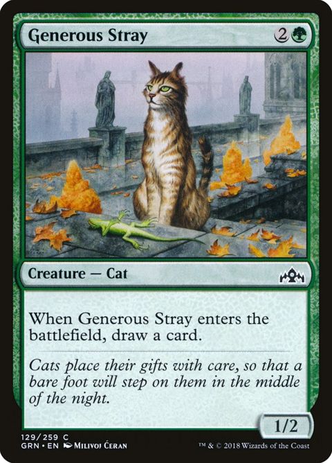 129-generousstray.jpg