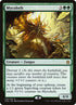 129-mycoloth.jpg