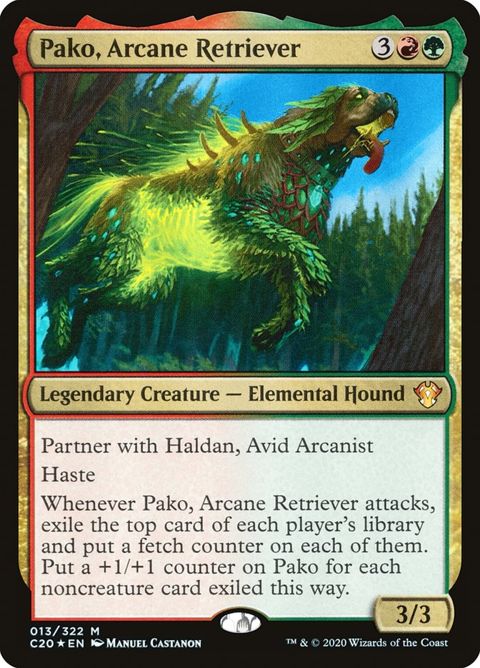 13-pakoarcaneretriever.jpg