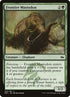 130-frontiermastodon.jpg