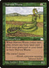 130-harvestwurm.jpg