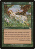 130-seedtime.jpg