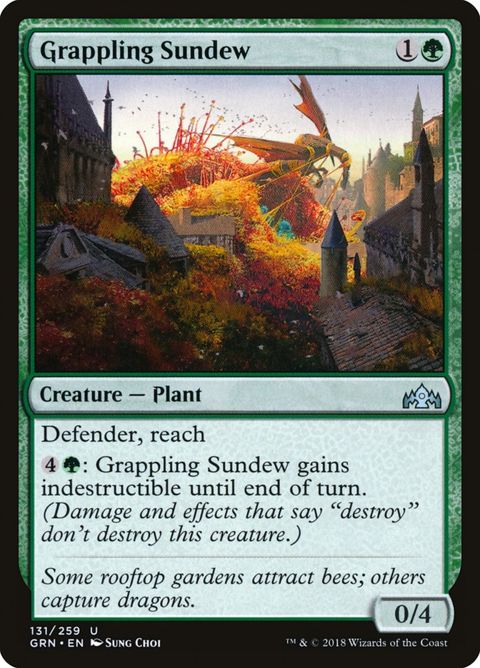 131-grapplingsundew.jpg