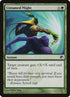 131-untamedmight.jpg