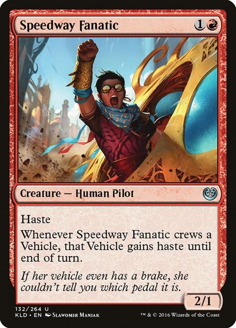 132-speedwayfanatic.jpg