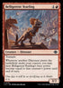 133-belligerentyearling.jpg
