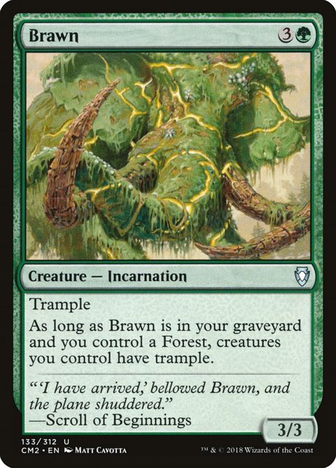 133-brawn.jpg