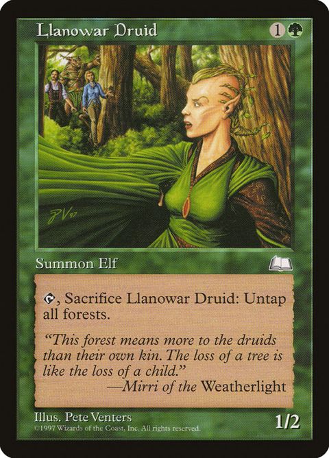 133-llanowardruid.jpg
