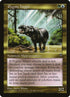133-pygmyhippo.jpg